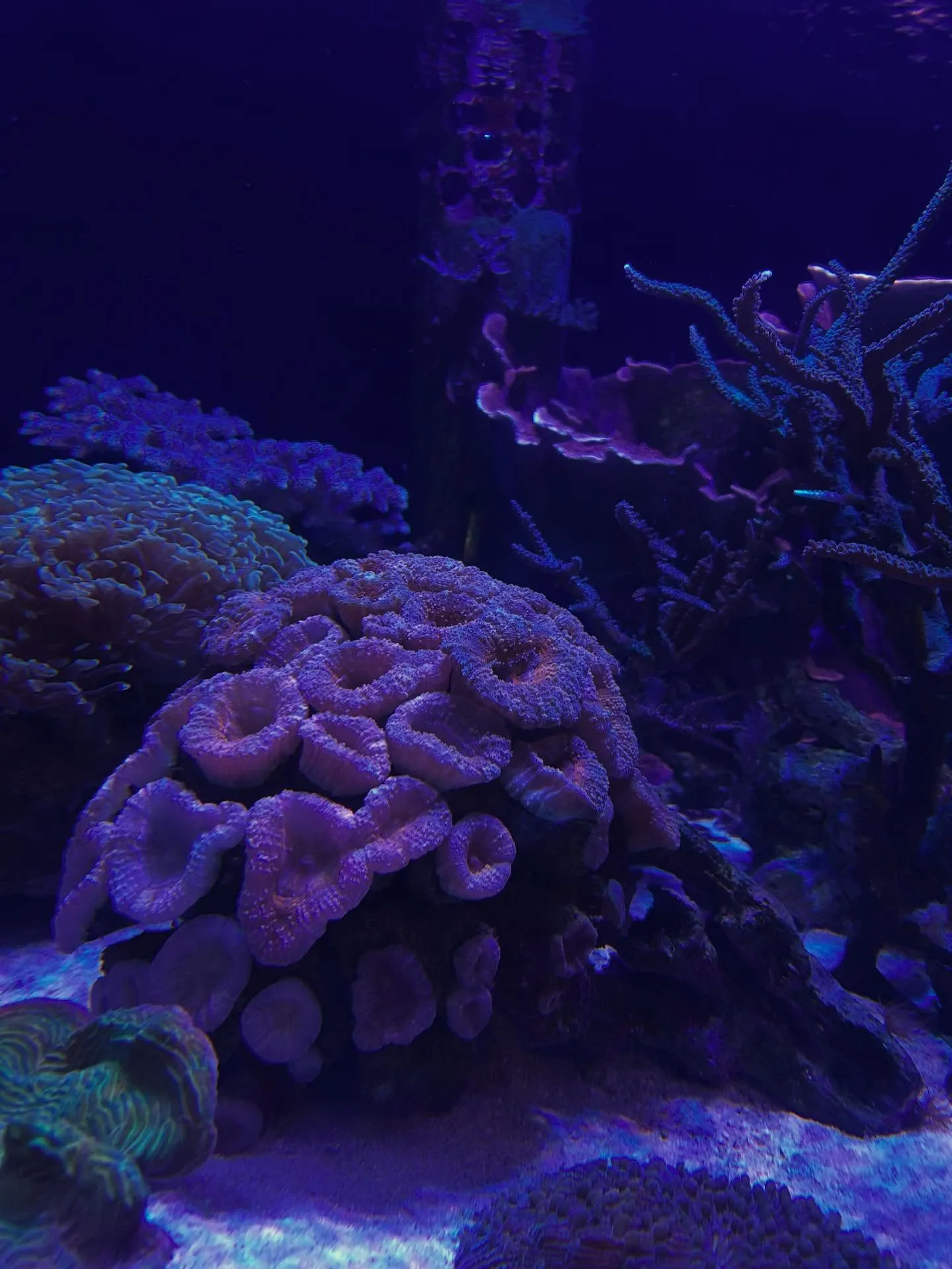 【sea world】