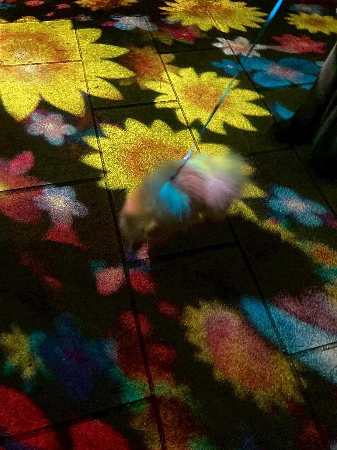 【flower world】