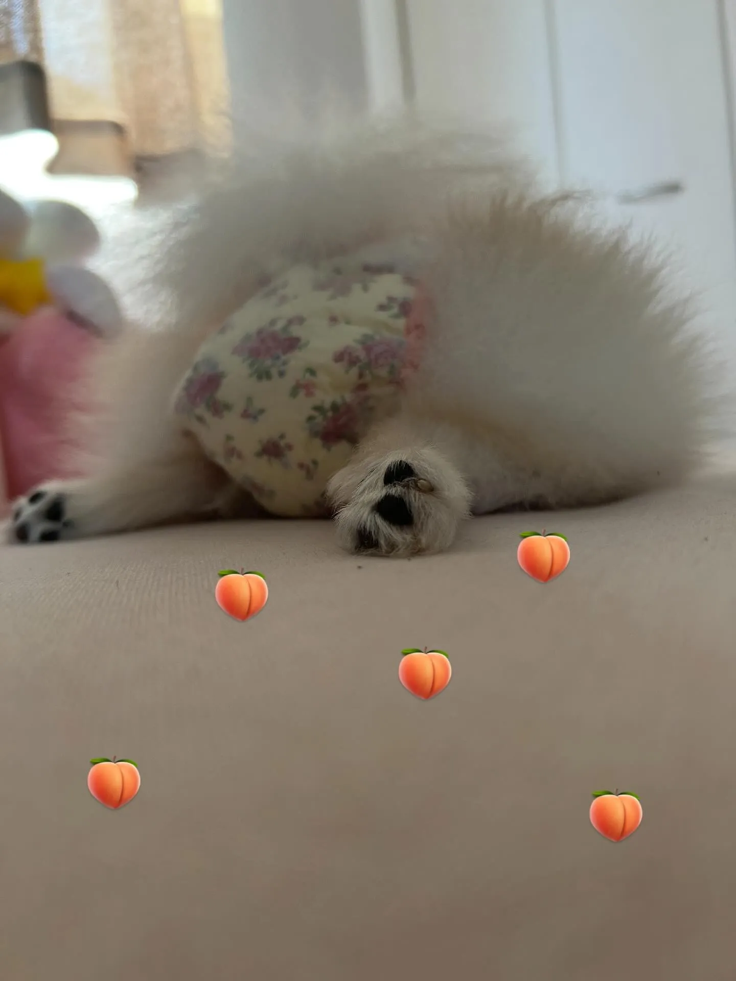 【かわいい】