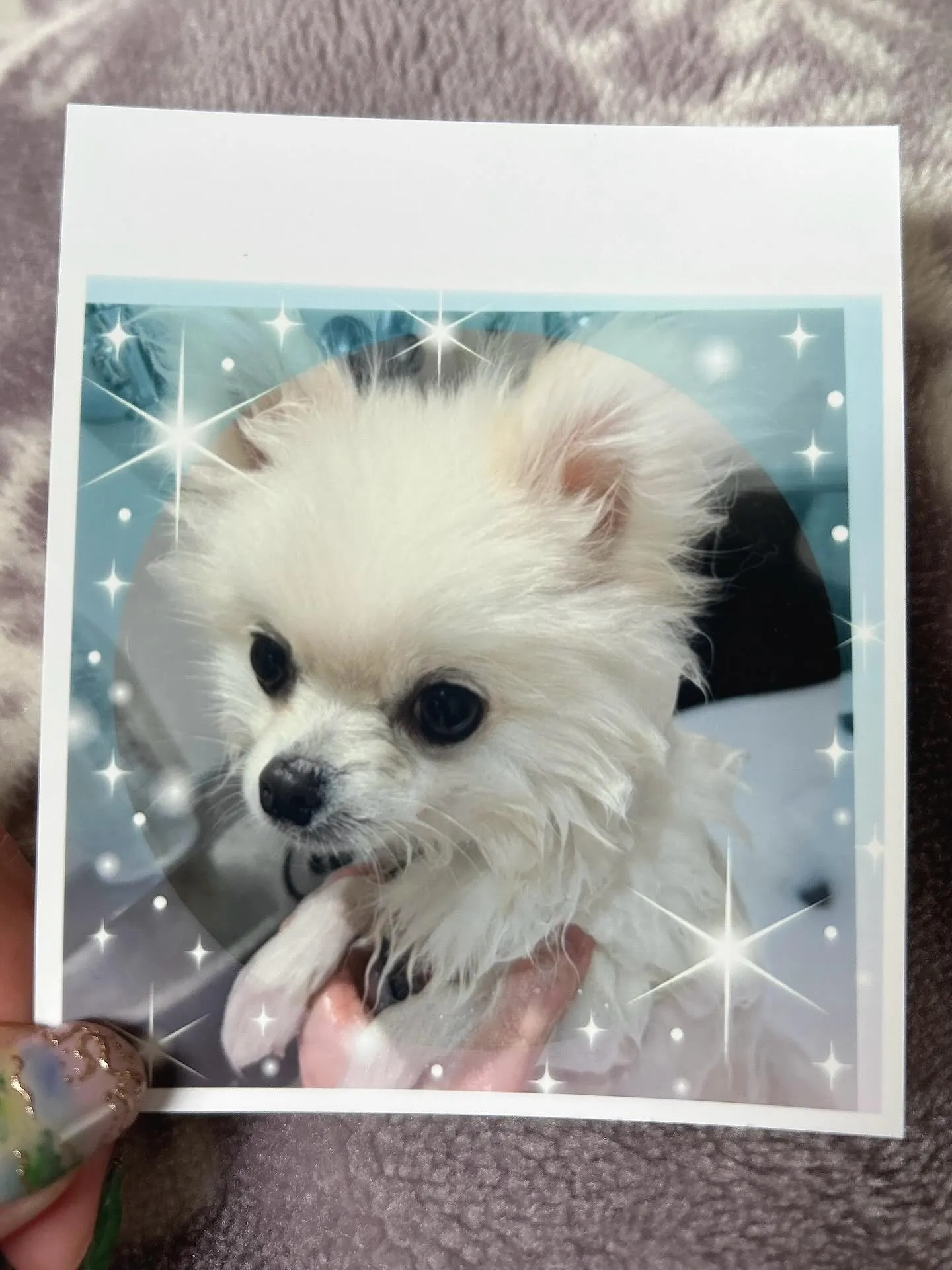 【かわいい】