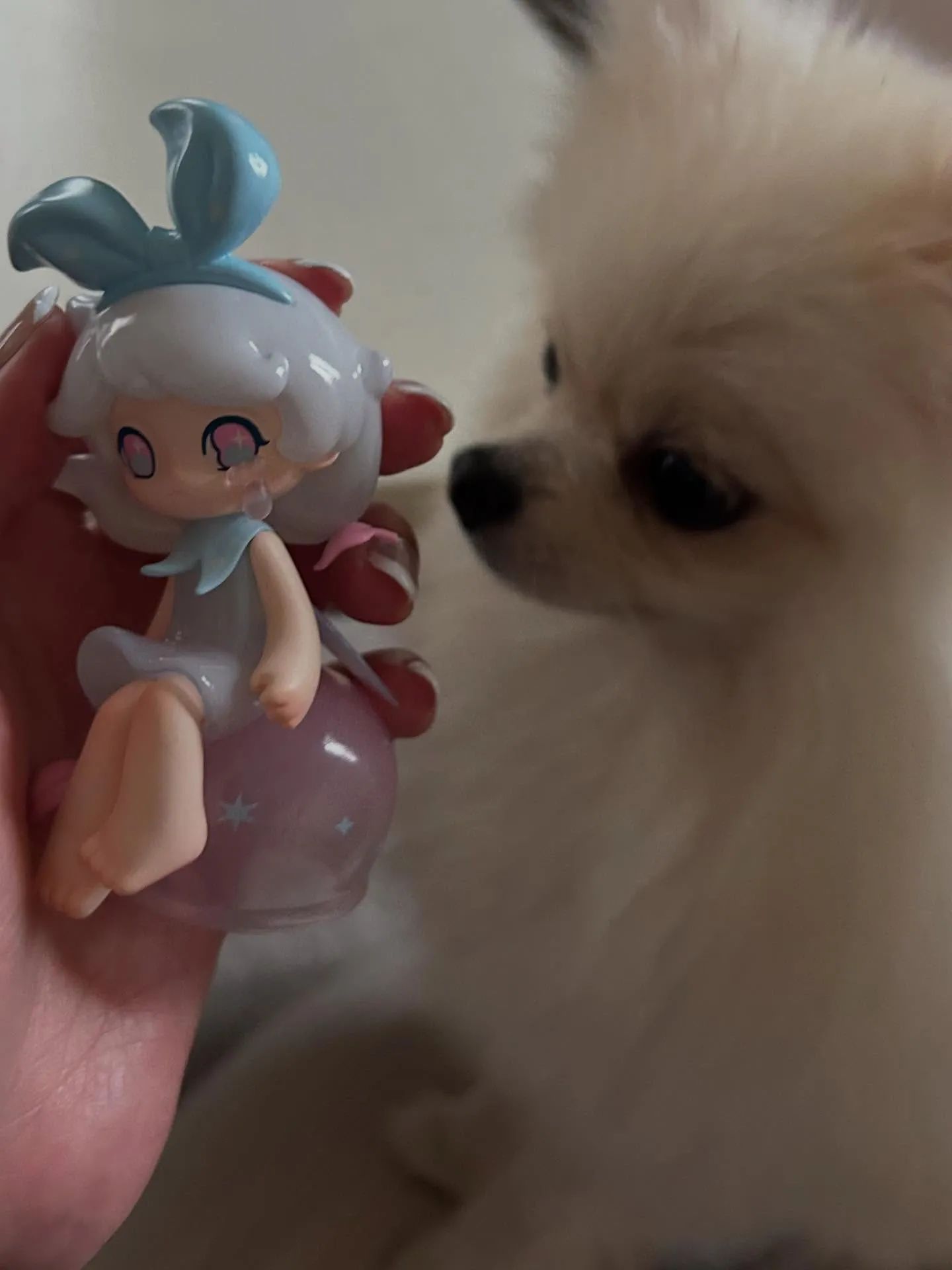 【かわいい】