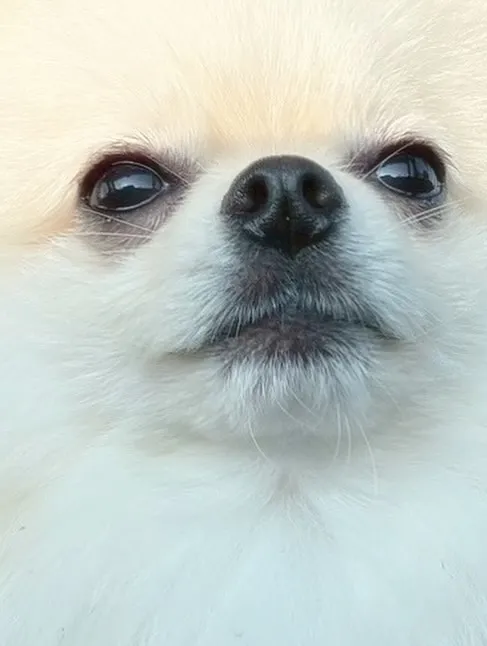 【最近の色々】