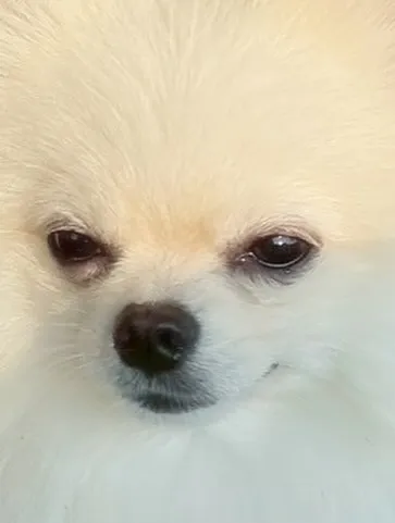 【最近の色々】
