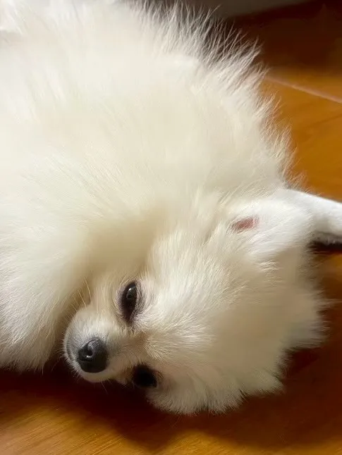 【最近の色々】