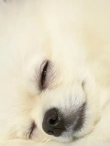 【最近の色々】