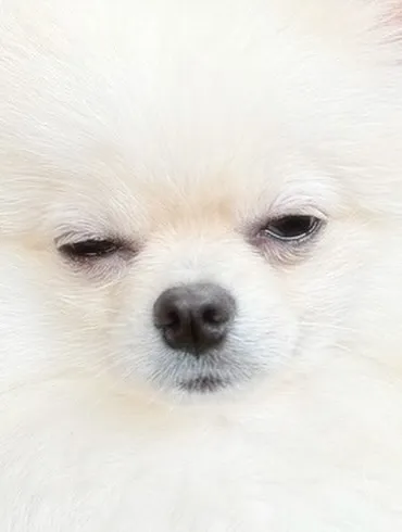 【最近の色々】