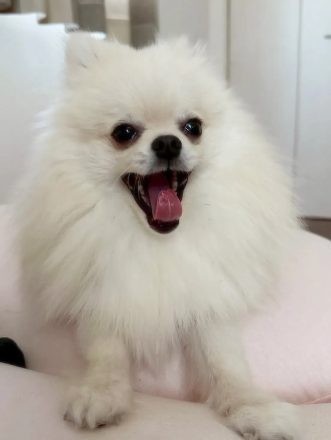 【最近の色々】