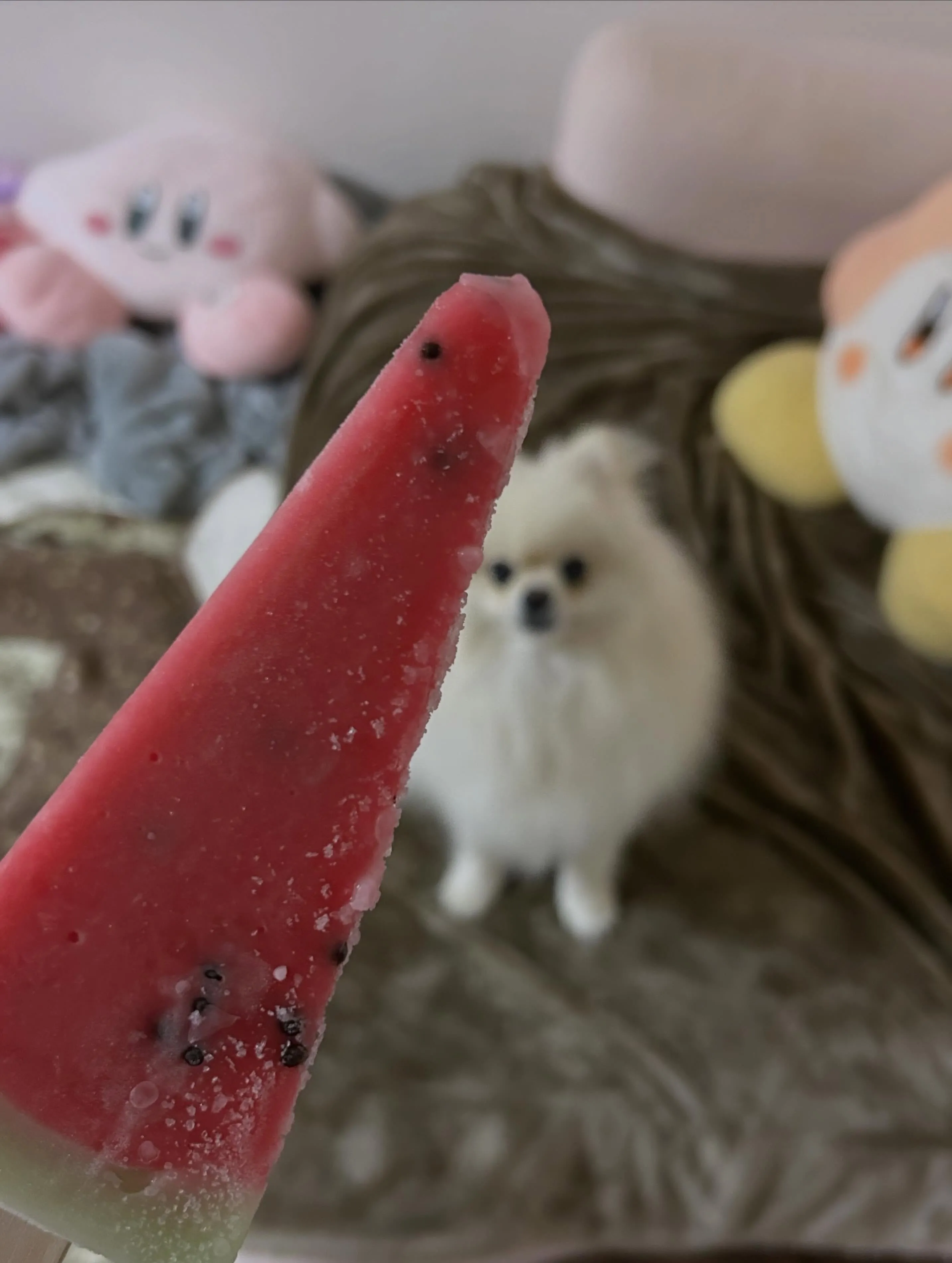 今年は秋のように短い夏でした☀️