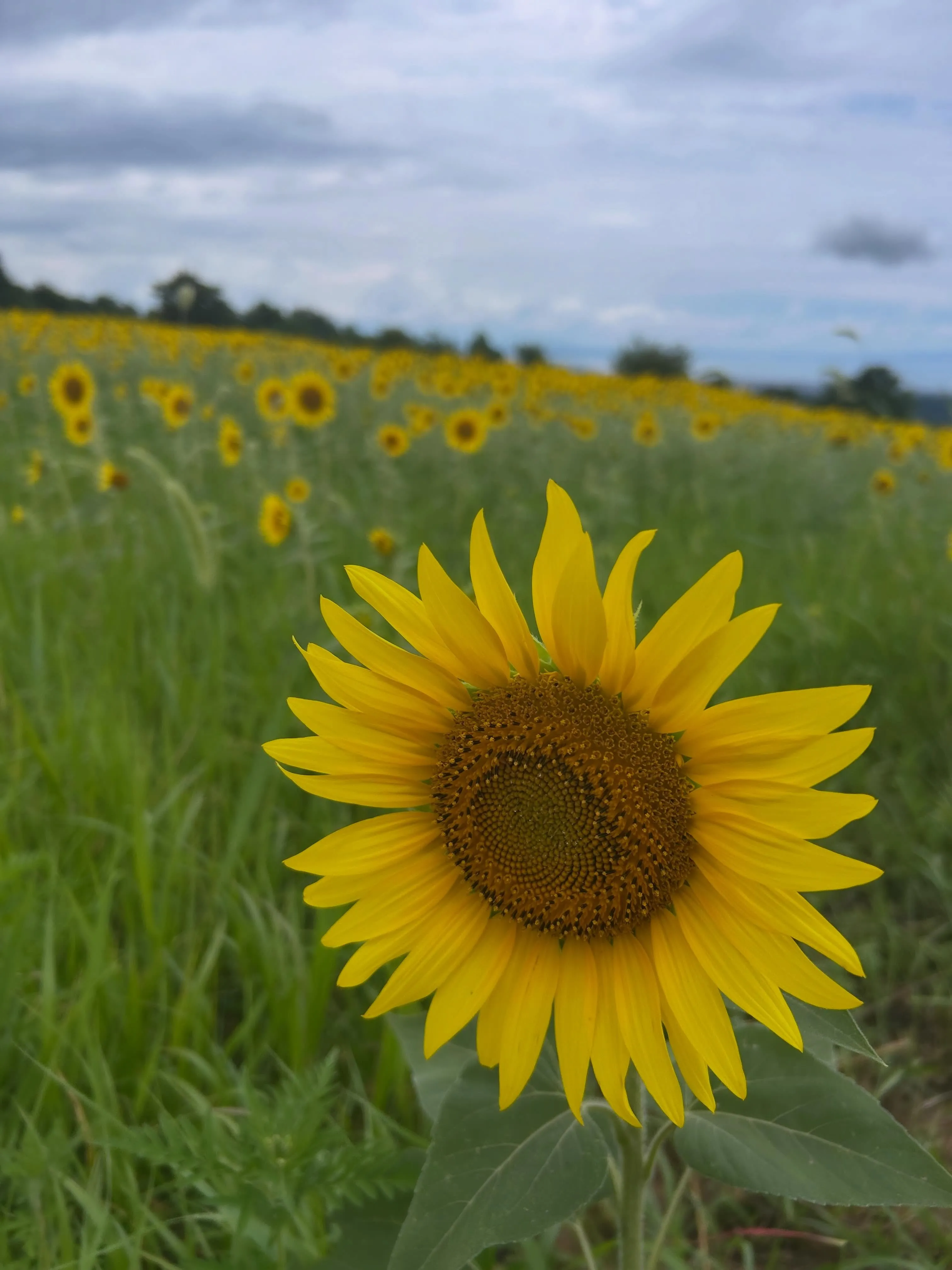 今年は秋のように短い夏でした☀️